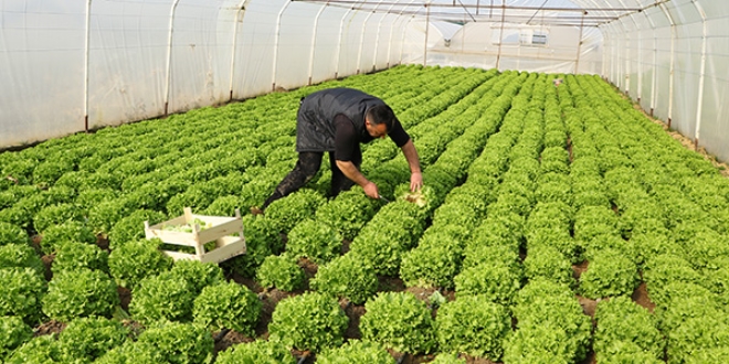 Ald destekle seralarn bytt