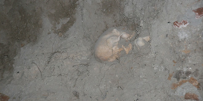 Boş arazide ortaya çıkan insan kemikleri korkuttu