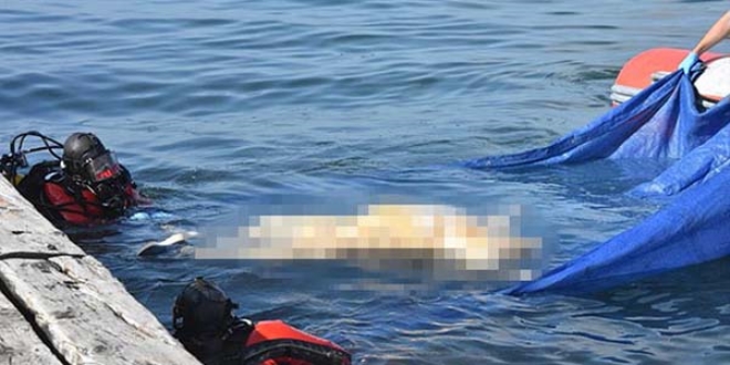 Çocuk parkı önünde korkunç manzara!