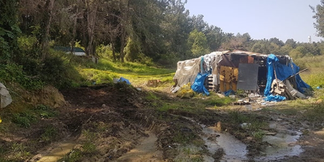 Tavuklarna yem verdii srada hayatn kaybetti