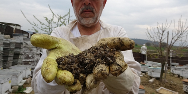 Bursa'da ar lmleri devam ediyor
