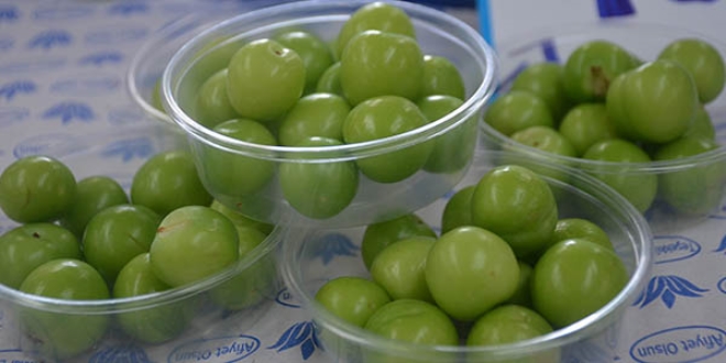 Eriin tane fiyat 1 liraya indi