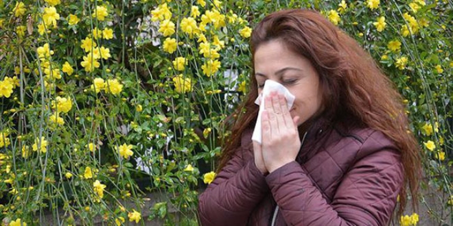 'Hava polen durumu' uyarlarna baland