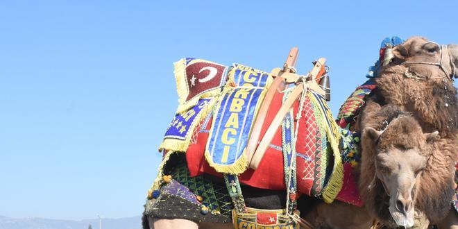 Belediye başkanı görevi devralmaya deve ile geldi