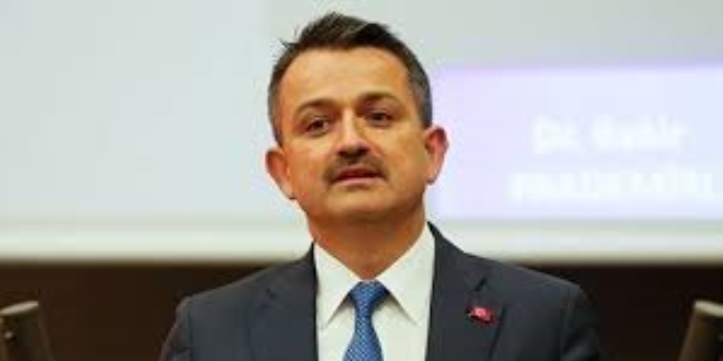 Bakan Pakdemirli: Türkiye arıcılık konusunda çok ilerledi