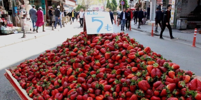 Çileğin kilosu 5 TL'den satılıyor