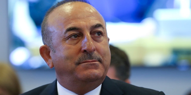 Cezayir'den teşekkür yağdı