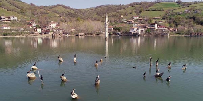 'Kuş cenneti' ve 'batık minare' ziyaretçilerini bekliyor