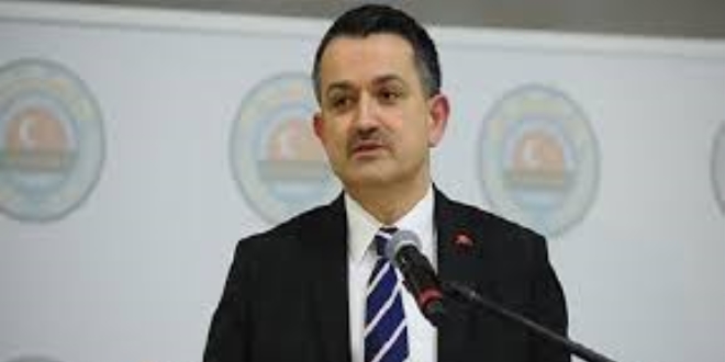 Pakdemirli: Yabancı yatırımcılar için her türlü kolaylığı sağlarız
