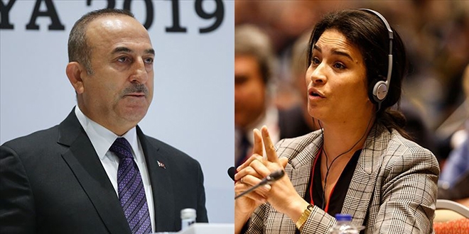 Çavuşoğlu dış politikada Türk halkının sesi oldu
