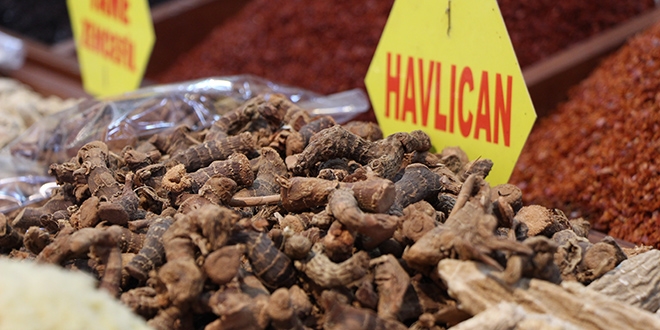 Bahar nezlesinin şifası 'havlıcan'