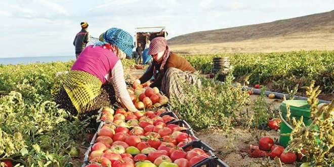 Gıda fiyatlarında makas daralacak