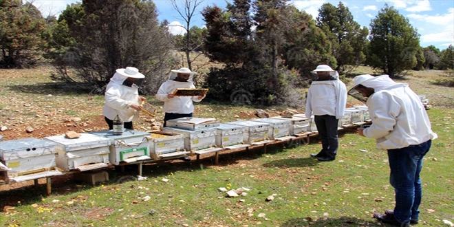 Arclk faaliyet alanlar haritas oluturuldu