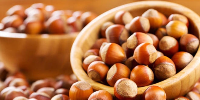 talya ile fndk iin i birlii projesi