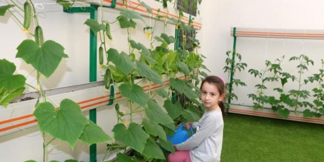 Anaokulunun atsnda sebze ve meyve yetitiriyorlar