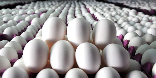 Yumurta hakknda nemli iddia: Aslnda fark yokmu