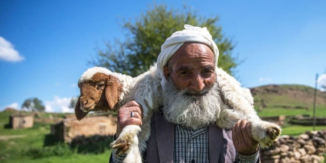5 bin lira aylığa çoban bulamıyorlar