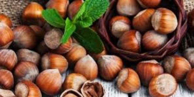 Nisan kar fndk ve kivi reticilerini tedirgin etti