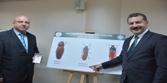 Balkesir'de kefedilen 3 yeni bcek tr tantld