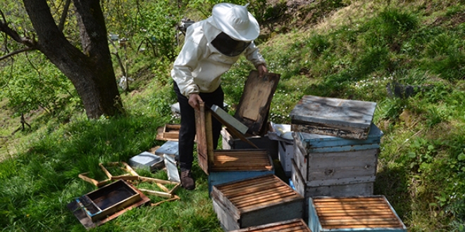 Ar reticilerinin 'ay' kabusu