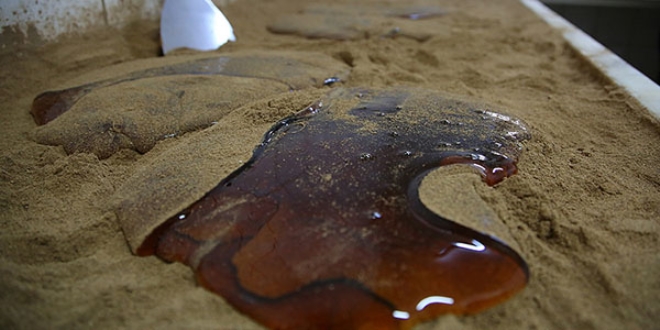 Tescilli mesir macununda hedef yurt d pazar