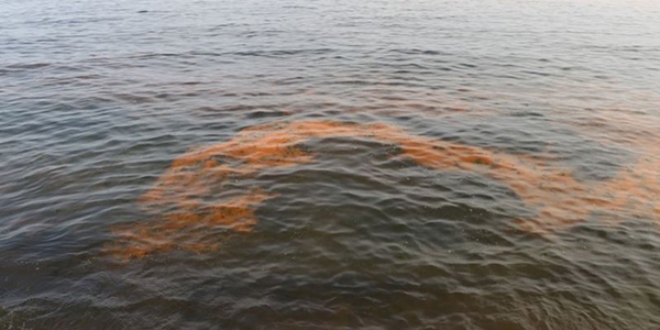 Deniz turuncuya brnd, vatandalar tedirgin oldu