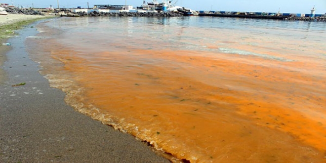 Denizdeki turuncu renk tm sahili sard