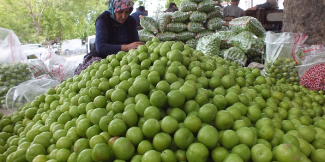 Silifke eriinin kilogram bahede 8-14 liradan satlyor