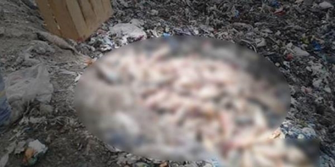 Elazığ'da ele geçirildi! Tam 900 kilo...
