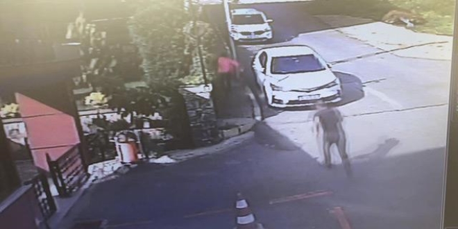 Arabası için çocuk döven saldırganın ifadesi