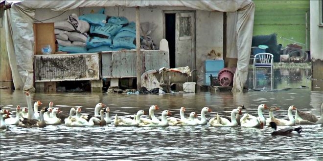 Muş'ta sel ve su baskınları maddi hasarlara neden oldu
