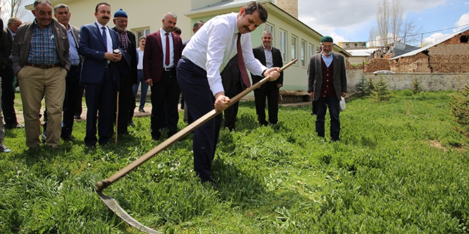 Tırpanla ot biçen vali, köylüye maşallah dedirtti