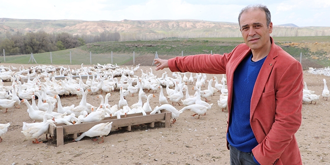 Emekli astsubay, kaz çiftliği kurdu