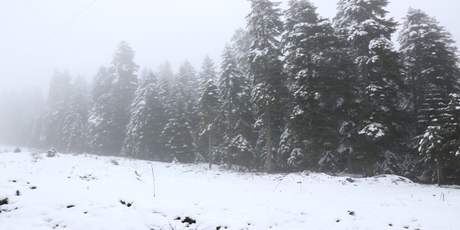 Bolu'da yksek kesimlere kar yad