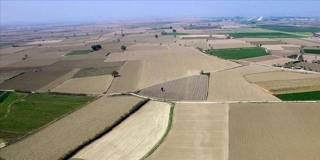 Ege'nin kullanılmayan arazileri tarıma kazandırılıyor