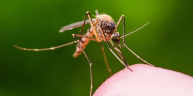 Yaz aylarnda artan stma riskine dikkat!