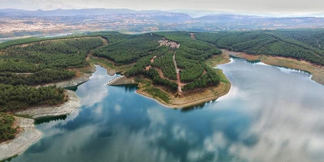 Tabiat parkı zengini 'Samsun'