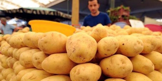 Patatesin fiyatı hasatla düştü