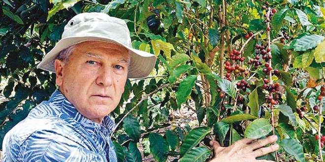Türkiye'de ilk kez kahve meyvesi üretti