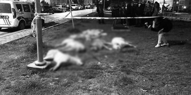 Ankara Büyükşehir, o davada müşteki oldu