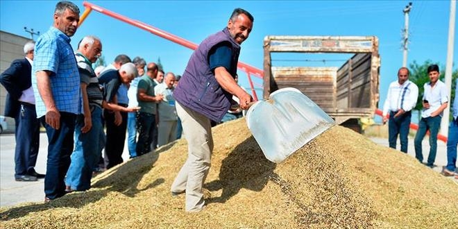 Mardin'de sezonun ilk arpa hasadı yapıldı