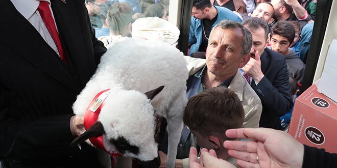 Vatandaş, Erdoğan'a kuzu hediye etti