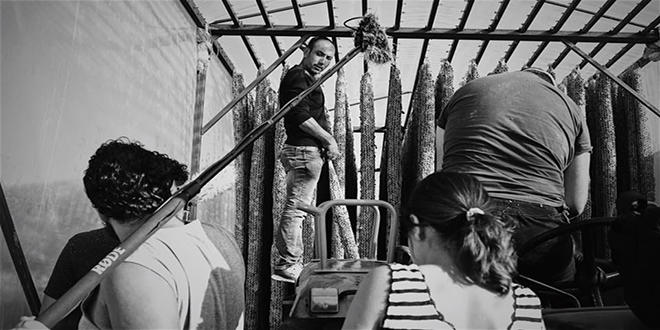 mece usul film ekti, Cannes'e ismini yazdrd