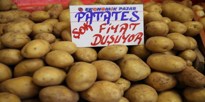 Patates tarlada 1,4 liraya kadar geriledi