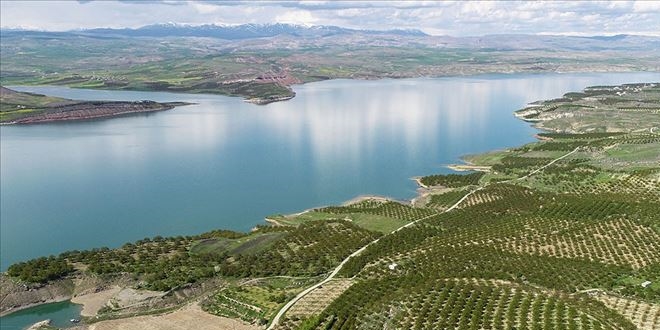 Bereketli yalar kaysda verimi artrd