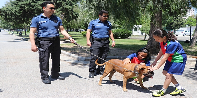 Hayvansever polis, kedi evini yakanları kısa sürede buldu