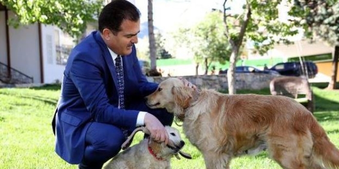 Hakkari Valisi, tavuklarını kendi elleriyle besliyor