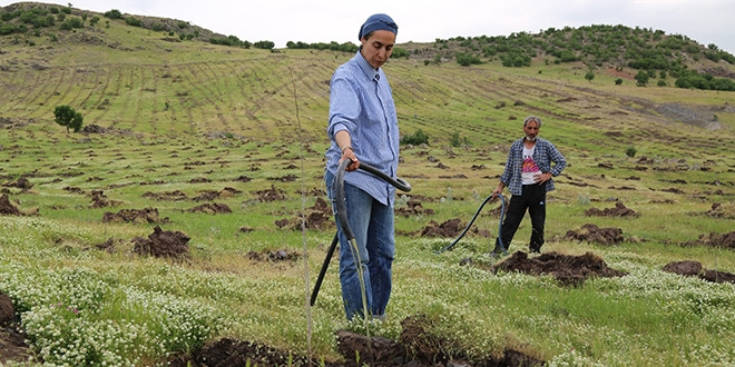 Belgeselde izledi, karar verdi! Türkiye'nin en büyüğü olacak