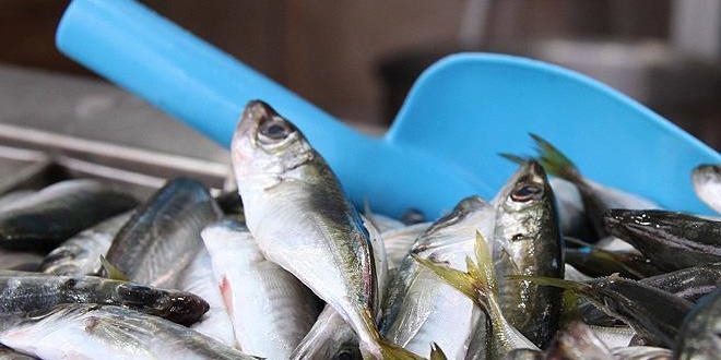 Ramazan'da balk tercih edilmiyor