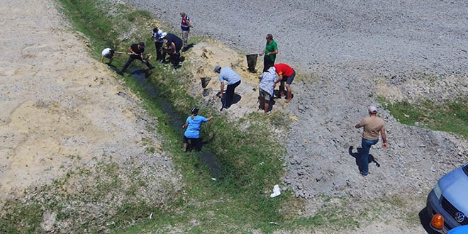 Amik Ovası'nda kalan balıklar kurtarılıyor